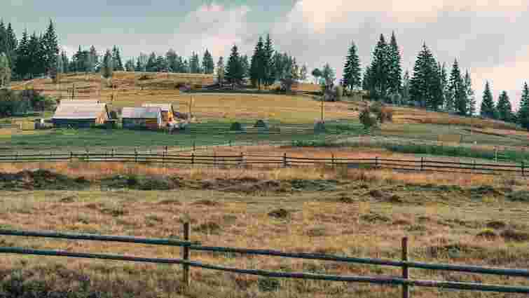 Хочу купити землю: як перевірити ділянку перед підписанням угоди