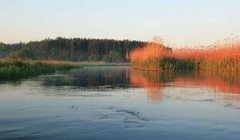 Чотирічний хлопчик потонув у річці Турія на Волині 