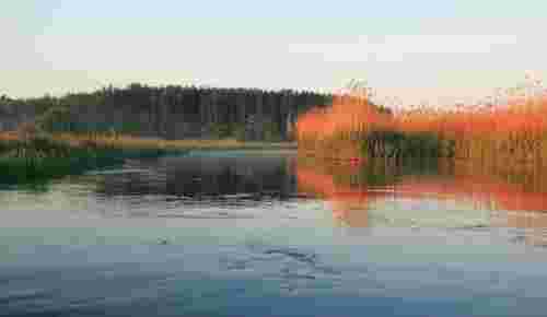 Чотирічний хлопчик потонув у річці Турія на Волині 