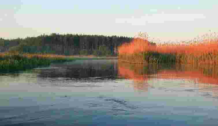 Чотирічний хлопчик потонув у річці Турія на Волині 