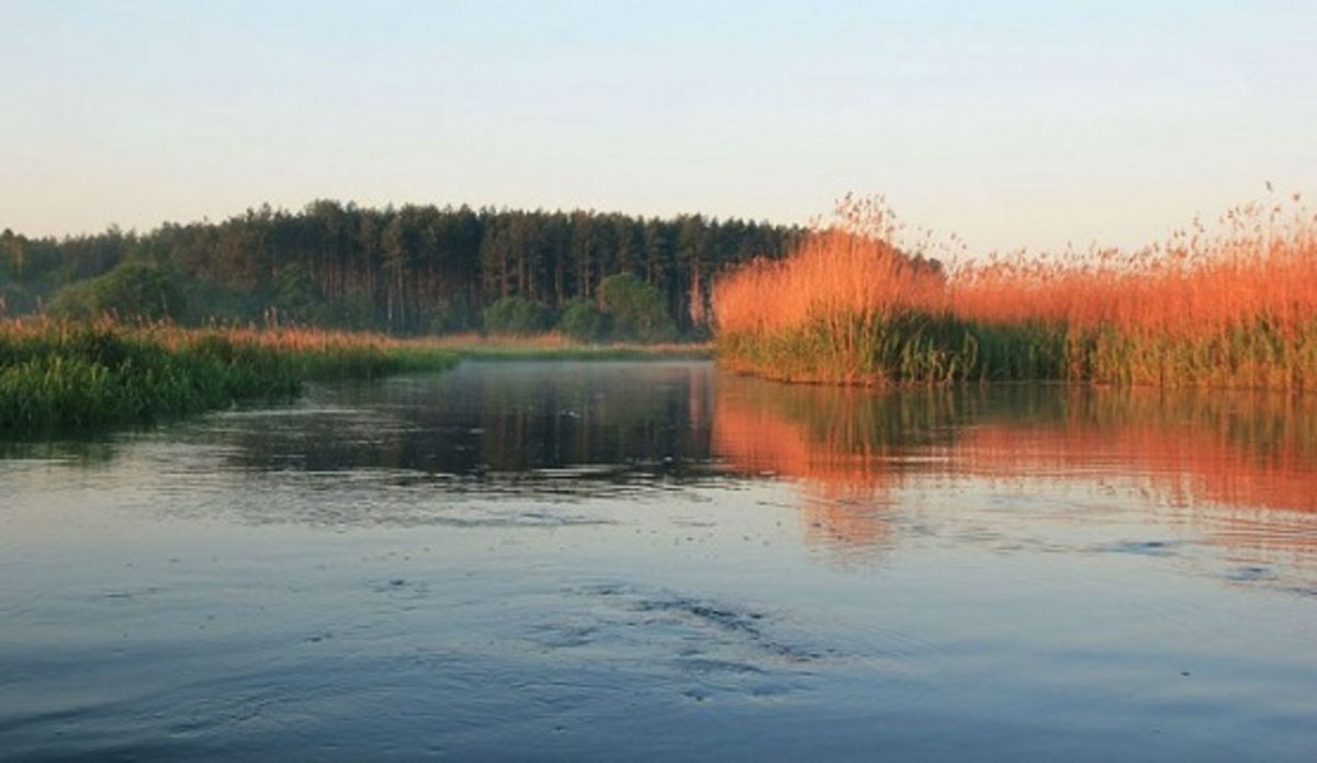 Чотирічний хлопчик потонув у річці Турія на Волині 