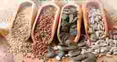 П’ять видів насіння, які допоможуть знизити рівень цукру в крові