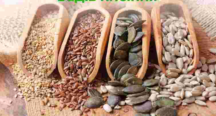 П’ять видів насіння, які допоможуть знизити рівень цукру в крові