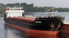 В Азовському морі затонуло судно з пшеницею та росіянами на борту
