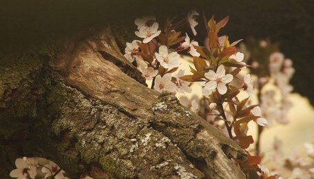 Що почути та побачити у Львові?