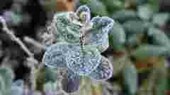 Заморозки чи потепління до +25°С: якою буде погода на Великдень та у квітні загалом