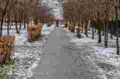 Синоптики попередили про мокрий сніг та заморозки на Тернопільщині