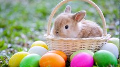 Давні вірування й історія переплелися: як кролик став символом Великодня