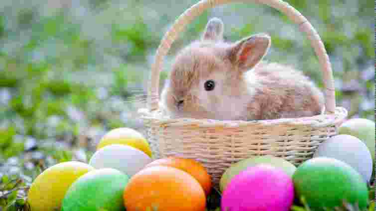 Давні вірування й історія переплелися: як кролик став символом Великодня