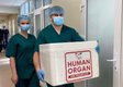 Посмертна донорка з Рівного врятувала життя чотирьох людей