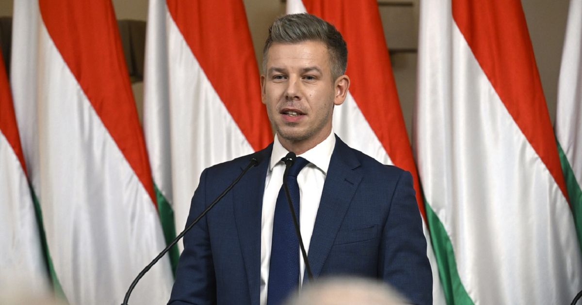 Угорська опозиція може отримати дві третини місць в парламенті, – опитування 