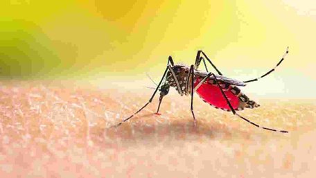 У 35-річної мешканки Львівщини після відпочинку на Мальдівах діагностували гарячку Денге