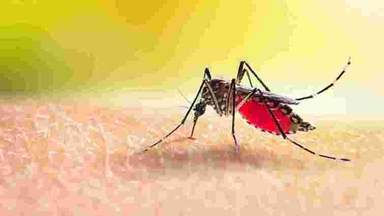 У 35-річної мешканки Львівщини після відпочинку на Мальдівах діагностували гарячку Денге