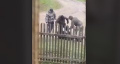 Поліцейські та військові ТЦК побили перехожого на Стрийщині