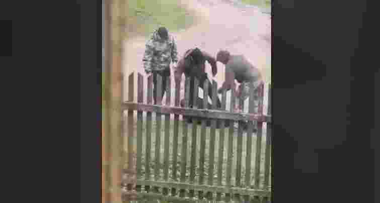 Поліцейські та військові ТЦК побили перехожого на Стрийщині