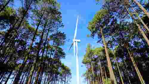 Львівський бізнесмен побудує поблизу Луцька вітрову електростанцію на 50 МВт