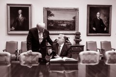 Європейський страус і його угорський слон під килимом