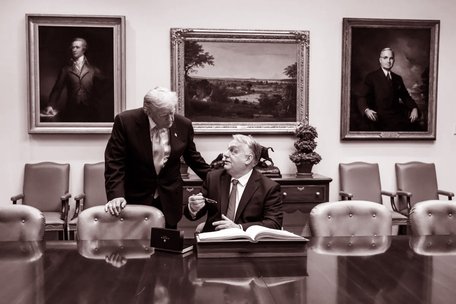 Європейський страус і його угорський слон під килимом