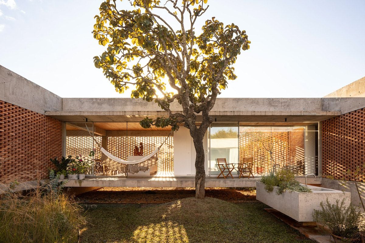 Фото Joana França