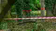 У Чернігові в лісовому масиві виявили тіло поліцейського з вогнепальним пораненням