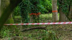 У Чернігові в лісовому масиві виявили тіло поліцейського з вогнепальним пораненням