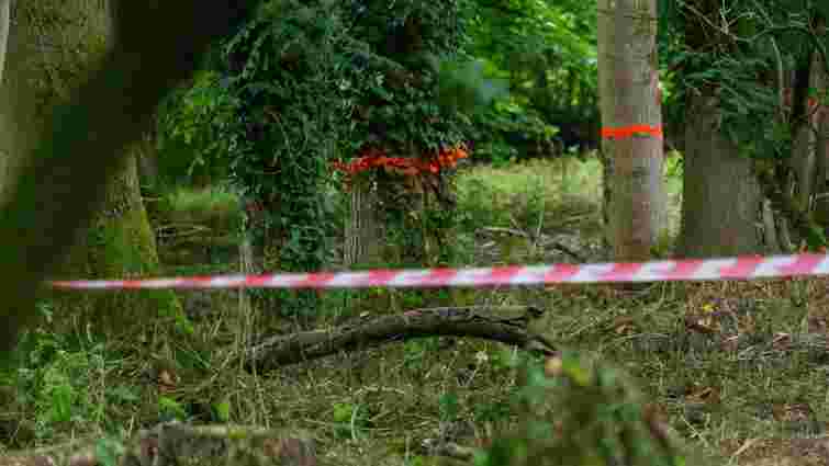 У Чернігові в лісовому масиві виявили тіло поліцейського з вогнепальним пораненням