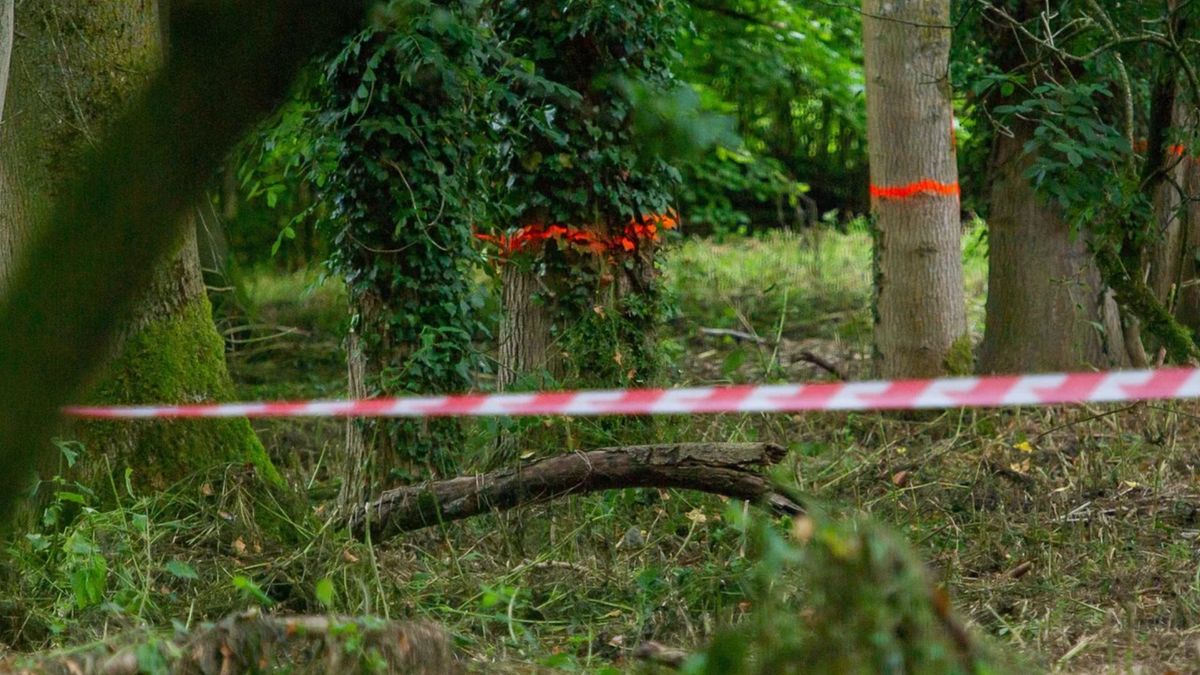 У Чернігові в лісовому масиві виявили тіло поліцейського з вогнепальним пораненням
