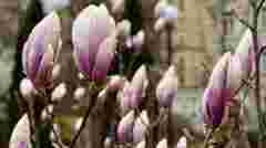 Вдягайтесь тепло: синоптики розповіли, якою буде погода у Львові на Великдень