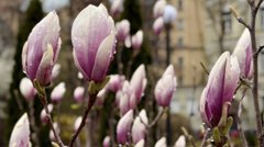 Вдягайтесь тепло: синоптики розповіли, якою буде погода у Львові на Великдень