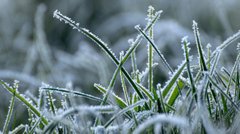 У ніч на Великдень у Львові зафіксували рекорд мінімальної температури повітря за 80 років