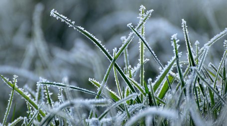 У ніч на Великдень у Львові зафіксували рекорд мінімальної температури повітря за 80 років