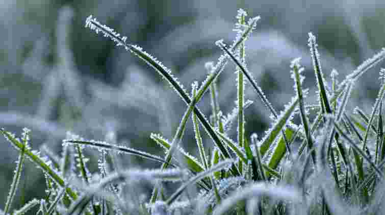 У ніч на Великдень у Львові зафіксували рекорд мінімальної температури повітря за 80 років