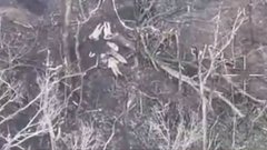 Росіяни на Харківщині розстріляли чотирьох українських військовополонених