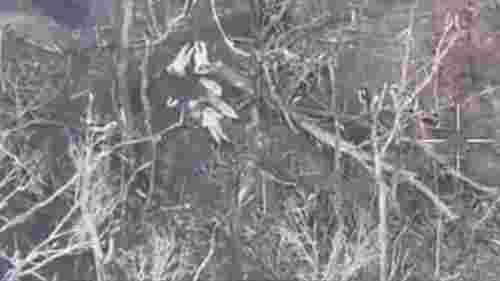 Росіяни на Харківщині розстріляли чотирьох українських військовополонених