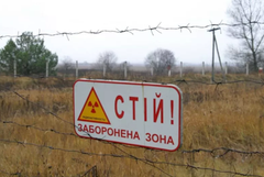 У Чорнобильській зоні понад 5 років незаконно вирощують пшеницю та кукурудзу 