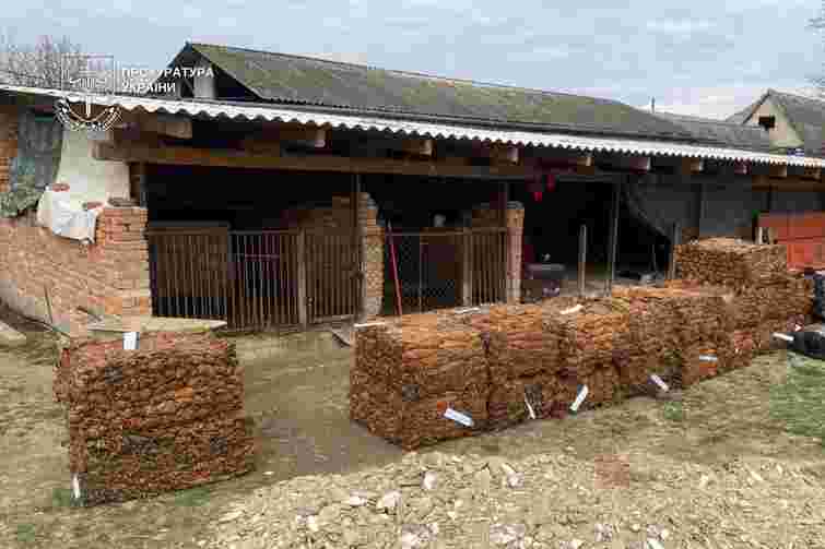 Понад 25 га землі на Закарпатті засіяли підпільним тютюном