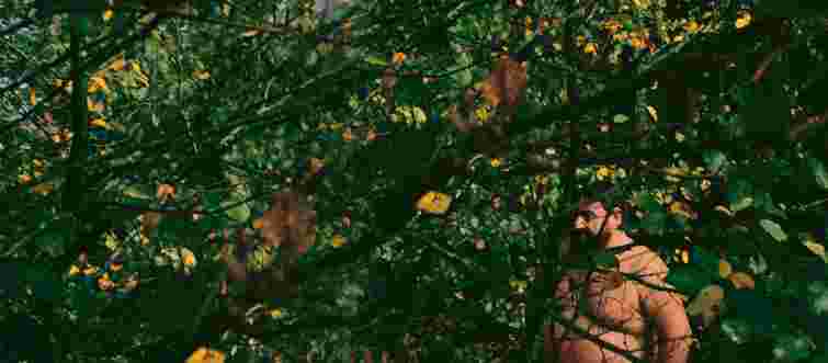 Каннський «Двотижневик режисерів» оголосив програму