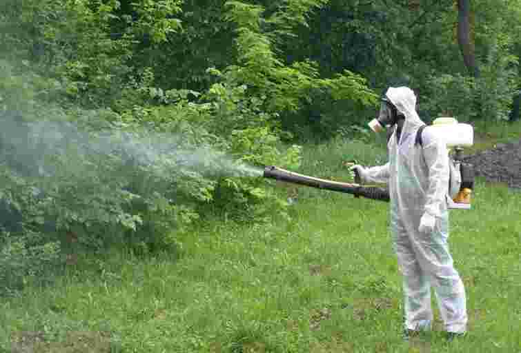 Парки та дитячі майданчики в Чернівцях оброблять від кліщів