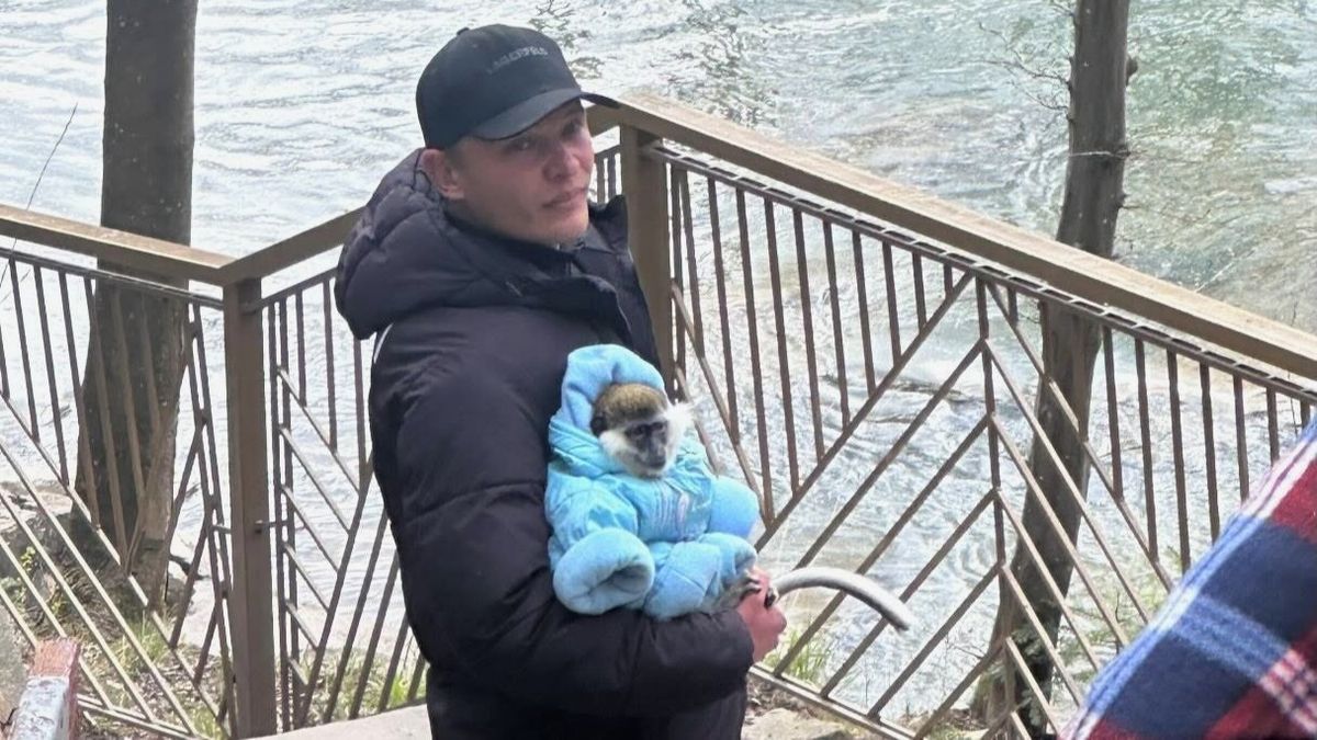 На популярному водоспаді в Карпатах експлуатують мавпу для фотосесій з туристами