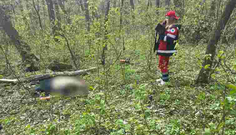 Гілка дерева на смерть придавила 28-річного чоловіка біля Тернополя