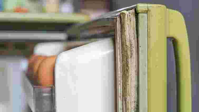 Техніка працюватиме довше: чим почистити ущільнювач холодильника