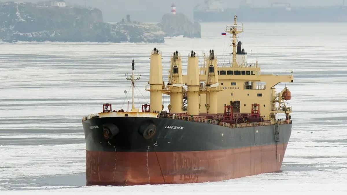 Ізраїль відпустив російське судно з краденим зерном попри вимогу України затримати його