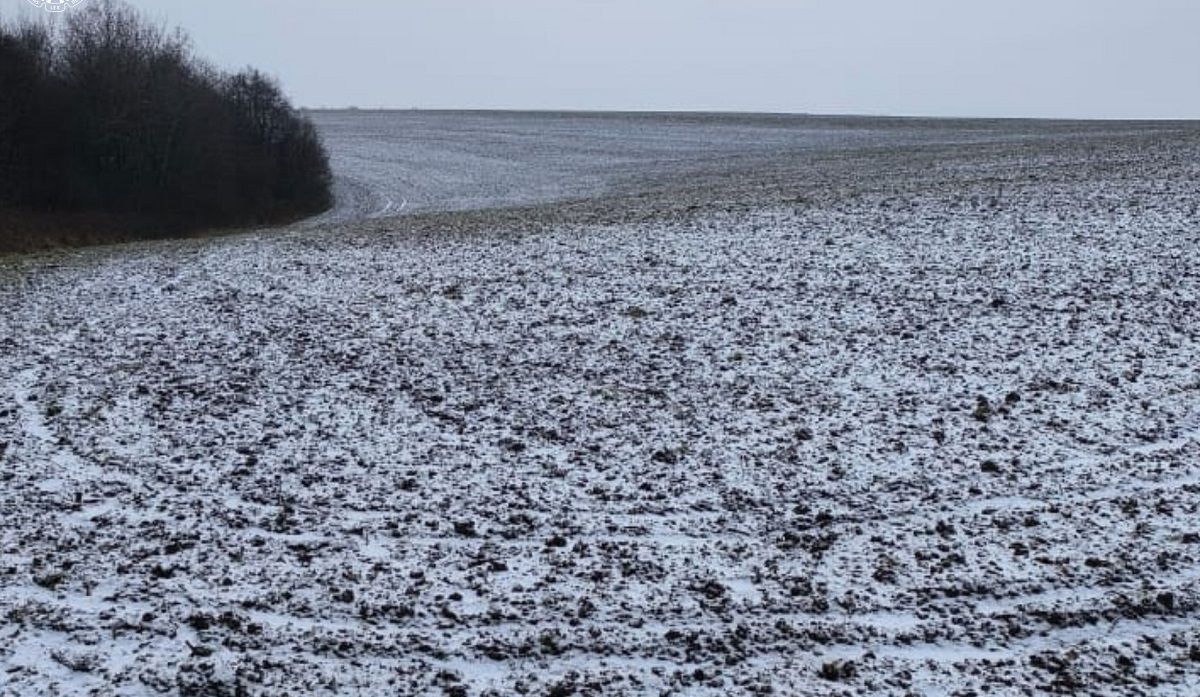 У відомого агрохолдингу забрали 84 га на Львівщині через нецільове використання