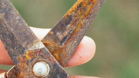 Простий домашній метод, який працює: як прибрати іржу з садових інструментів