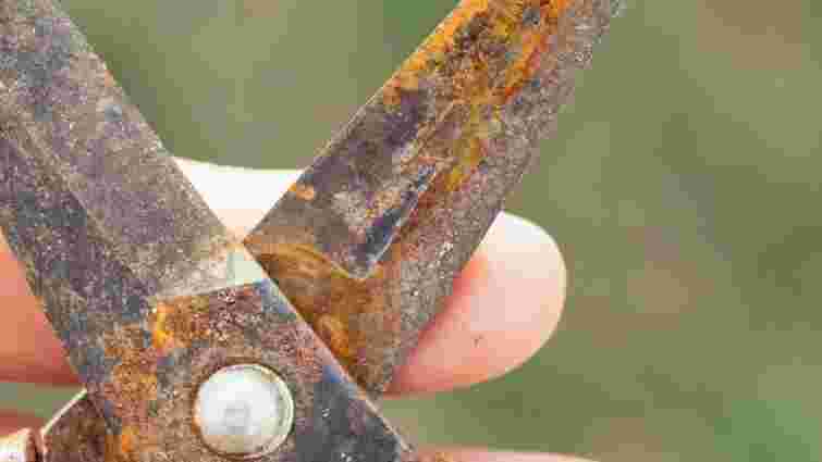 Простий домашній метод, який працює: як прибрати іржу з садових інструментів