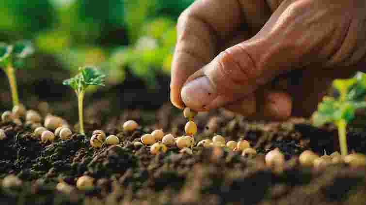 Не запізніться: які овочі та зелень ще можна посадити наприкінці квітня