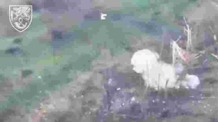 На Курському напрямку росіяни намагалися здійснити прорив через газову трубу