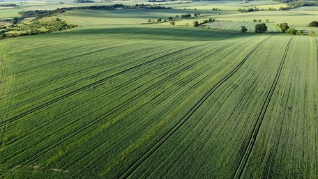 Зниження податків на землю: уряд ухвалив нову методику оцінки для аграріїв