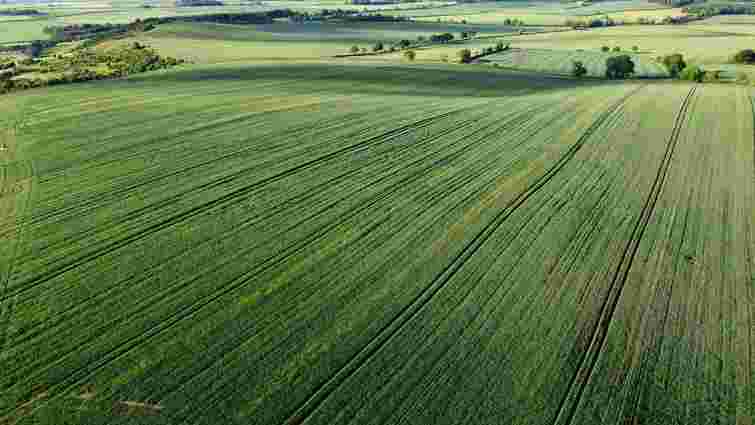Зниження податків на землю: уряд ухвалив нову методику оцінки для аграріїв