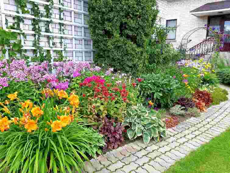 Яскрава весняна клумба: які квіти найкраще посадити та як їх правильно розмістити